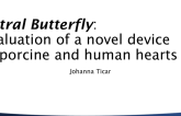 Mitral Butterfly: Evaluation of a Novel Device in Porcine and Human Hearts