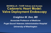 Cadaveric Heart Model: Valve Deployment Endoscopy