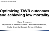 Japan — Optimizing Outcomes and Achieving Low Mortality