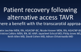 Patient Recovery Following Alternative Access TAVR: Is There a Benefit With the Transcarotid Approach?