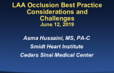 LAA Occlusion Best Practice Considerations and Challenges