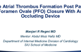 Late Atrial Thrombus Formation Post-Patent Foramen Ovale (PFO) Closure With An Occluding Device