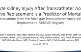 Acute Kidney Injury After Transcatheter Aortic Valve Replacement Is a Strong Predictor of Intermediate but Not Long-Term Mortality: Observations From Michigan Transcatheter Aortic Valve Replacement (MITAVR) Registry