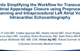 Towards Simplifying the Workflow for Transcatheter Left Atrial Appendage Closure Using Preprocedural CT Planning and Intraprocedural Left Atrial Volume Intracardiac Echocardiography