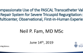 Compassionate Use of the PASCAL Transcatheter Valve Repair System for Severe Tricuspid Regurgitation: A Multicenter, Observational, First-in-Human Experience