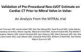 Validation of Pre-Procedural Neo-LVOT Estimate on Cardiac CT Prior to Mitral Valve-in-Valve: An Analysis From the MITRAL Trial
