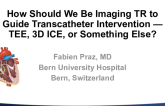 How Should We Be Imaging TR to Guide Transcatheter Intervention — TEE, 3D ICE, or Something Else?