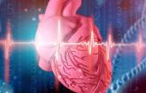Genetic Data Hint at Causal Link Between High BMI and Cardiovascular Diseases
