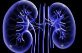 Small Study Lends Further Support to the Anti-arrhythmic Potential of Renal Denervation 