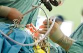 Liberal IVC Filter Use Not Warranted in Severe Trauma Patients