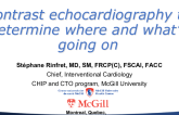 Contrast echocardiography to determine where and what’s going on