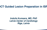 Case #1: OCT Guided Lesion Preparation in ISR