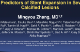 TCT 51: IVUS Predictors of Stent Expansion in Severely Calcified Lesions