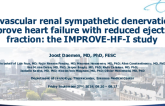 Endovascular Renal Sympathetic Denervation to Improve Heart Failure With Reduced Ejection Fraction: The IMPROVE HF-I Study
