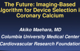 The Future: Imaging-Based Algorithm for Device Selection in Coronary Calcium