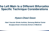 The Left Main Is a Different Bifurcation: Specific Technique Considerations