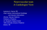 Endovascular Team - Neurovascular Team: IC Perspective
