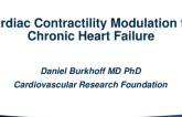 Cardiac Contractility Modulation (CCM)