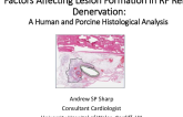 TCT 607: Optimizing Safety and Efficacy of Lesion Formation for Percutaneous Renal Denervation: Human and Porcine Histological Analysis