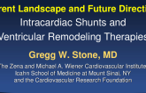 Current Landscape and Future Directions: Intracardiac Shunts, Ventricular Remodeling Therapies