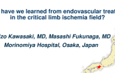 Can Baseline IVUS Predict Dissection Patterns of Femoropopliteal Lesions?