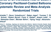 Absence of Risk of Death After Coronary Paclitaxel-Coated Balloons: Systematic Review and Meta-Analysis of Randomized Trials