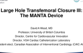 Novel Large-Hole Access Closure Devices - Large-Hole Transfemoral Closure III: The MANTA Device