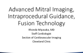 Advanced Mitral Imaging, Intraprocedural Guidance, and Image Fusion Technologies