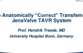 The TAVR “NEW-Comers”: Snapshots - The Anatomically “Correct” Transfemoral JenaValve TAVR System