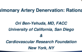 Introduction to Pulmonary Artery Denervation: Rationale