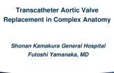 Transcatheter Aortic Valve Replacement in Complex Anatomy