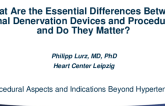 What Are the Essential Differences Between Renal Denervation Devices and Procedures, and Do They Matter?