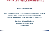 TAVR in Low-Flow Low-Gradient AS: Case Presentation(s), Diagnostic Algorithms, and Management Strategies