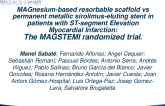 MAGSTEMI: A Randomized Trial of a Magnesium-Based Sirolimus-Eluting Resorbable Scaffold vs. Metallic DES in Patients With STEMI