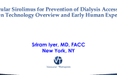 Perivascular Sirolimus for Prevention of Dialysis Access Failure: Sirogen Technology Overview and Early Human Experience