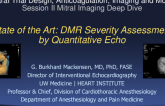 State of the Art: DMR Severity Assessment by Quantitative Echo