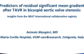 TCT 80: Predictors of residual significant mean gradient after TAVR in bicuspid aortic valve stenosis: insights from the BEAT international collaborative registry.