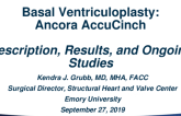 Basal Ventriculoplasty: Ancora — Device Description, Results, and Ongoing Studies