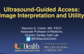 Ultrasound-Guided Access: Image Interpretation and Utility