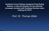 Sustained Limus Release-Designed Drug-Eluting Balloons: Is This the Solution for the Potential Increased Mortality With Paclitaxel Devices When Treating the SFA?