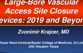 Large-Bore Vascular Access Site Closure Devices: 2019 and Beyond