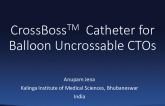 CrossBoss Catheter in Balloon Undilatable Lesions