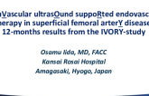 Intravascular Ultrasound Supported Endovascular Therapy in SFA Disease: 12-Month Results From the IVORY Study