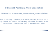 Pulmonary Artery Denervation II: Ultrasound-Based Therapy