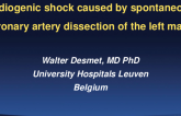 Belgium Presents: A Case of Cardiogenic Shock Caused by Spontaneous Coronary Artery Dissection of the Left Main