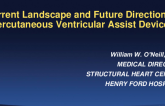Current Landscape and Future Directions: Percutaneous Ventricular Assist Devices