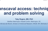 Transcaval Access: Technique and Problem Solving