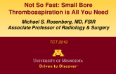 Not So Fast: Small Bore Thromboaspiration Is All You Need