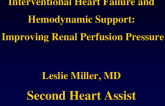 Improving Renal Perfusion Pressure: Second Heart