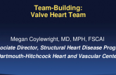 Valve Heart Team - Presentation of Case Study